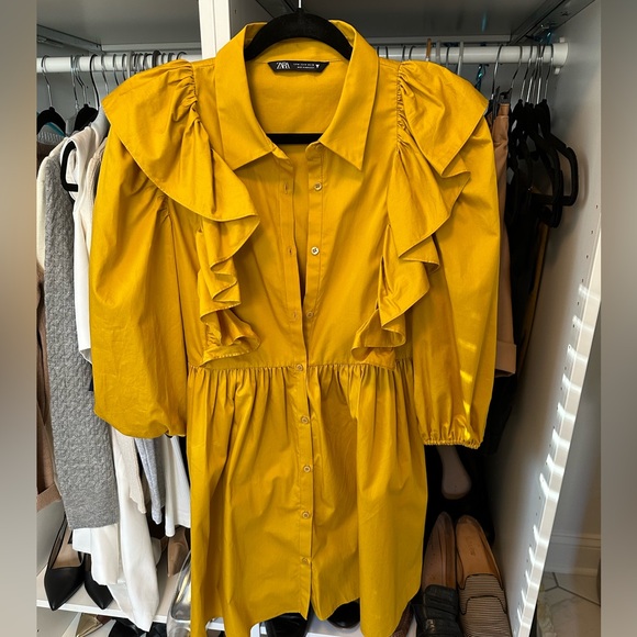 Zara Dress - Picture 3 of 4